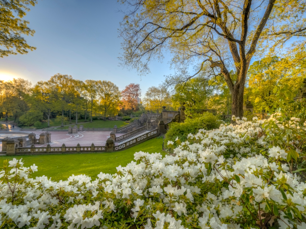 Institutional park grounds with manicured gardens at sunset