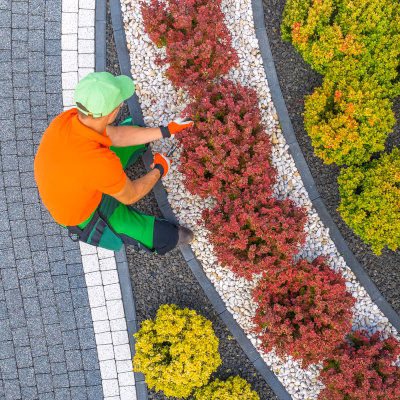 Gardener tending to colorful landscaped garden beds